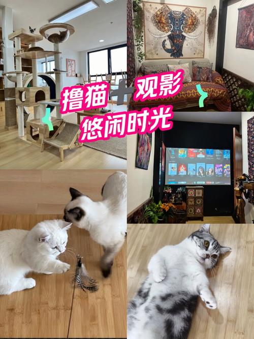 久久精品久久亚洲av的相关介绍