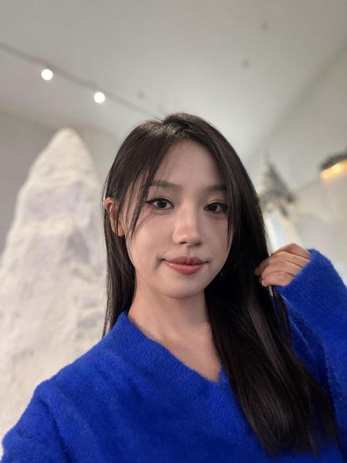 镜双城电视剧西瓜影院的相关介绍