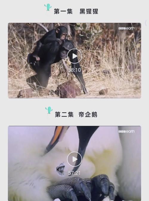 欧美一区二区在线看的相关介绍