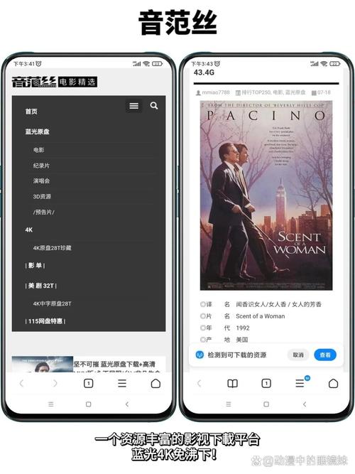 免费观看视频app下载的相关介绍