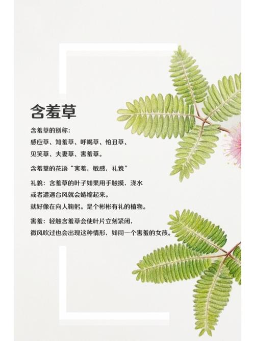 久久精品欧美h版的相关介绍