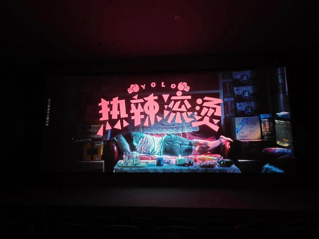 夜夜看片在线影院的相关介绍