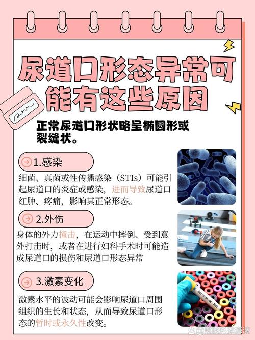 老湿影院视频免费观看的相关介绍