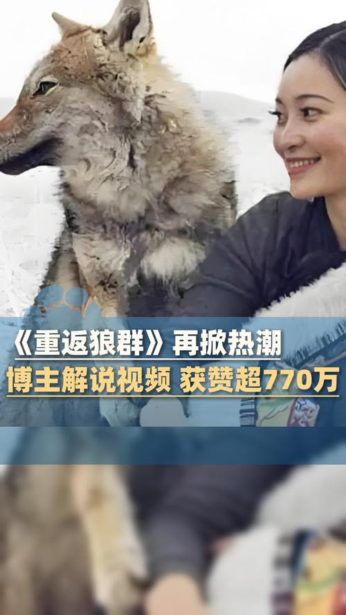 骑士影院在线观看的相关介绍