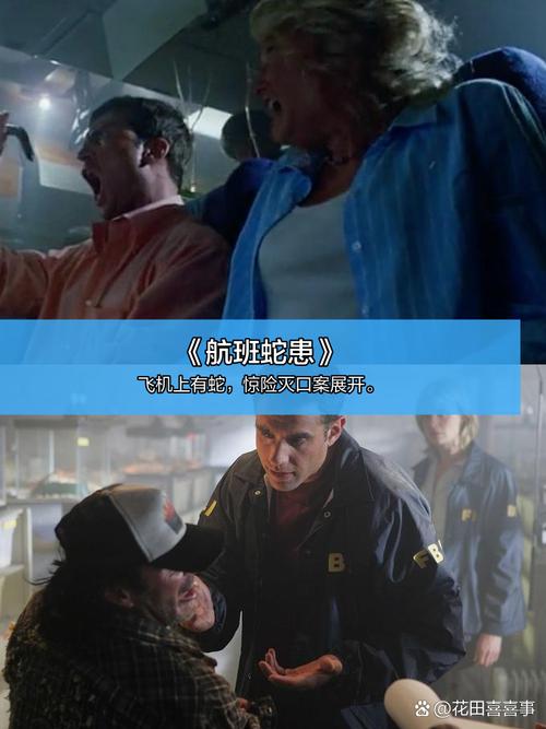 窝窝电影院的相关介绍