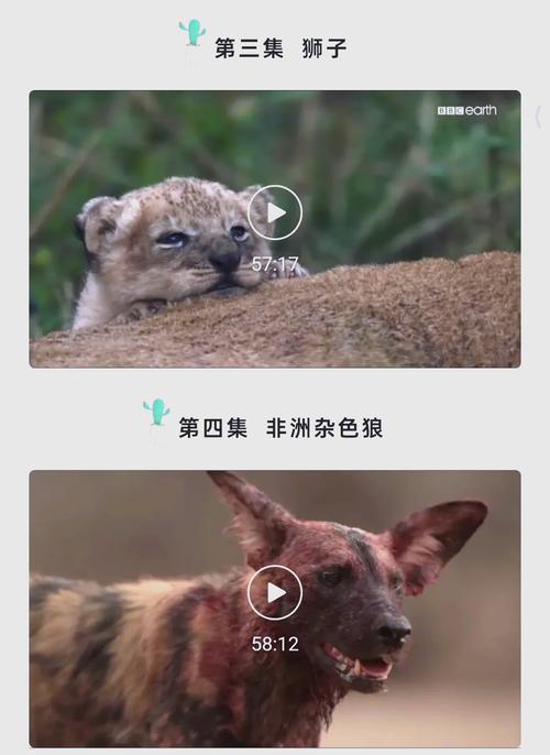 欧美老熟妇aaaaa的相关介绍