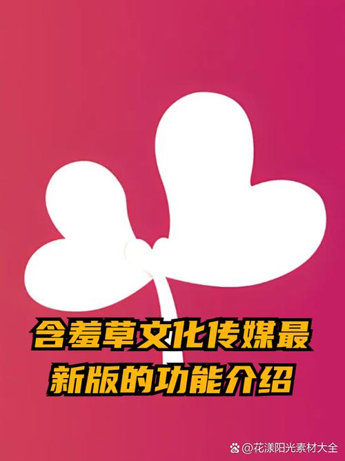 扒开美女双腿流出白浆的相关介绍