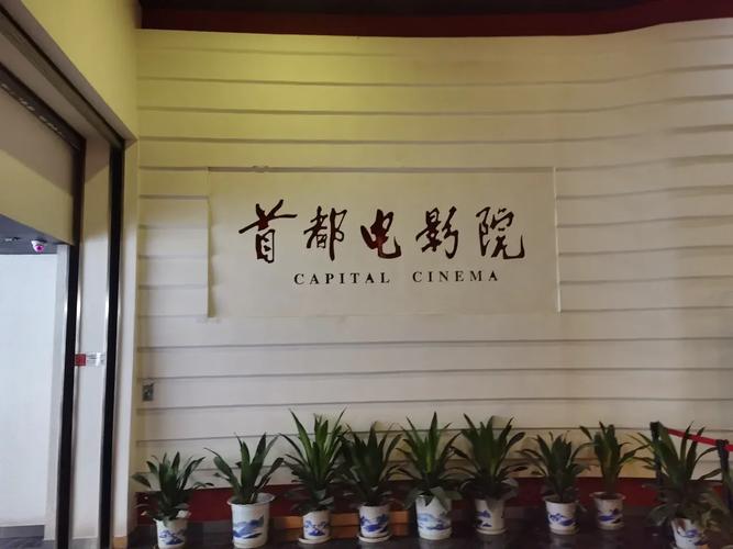 爽爽影院免费观看的相关介绍