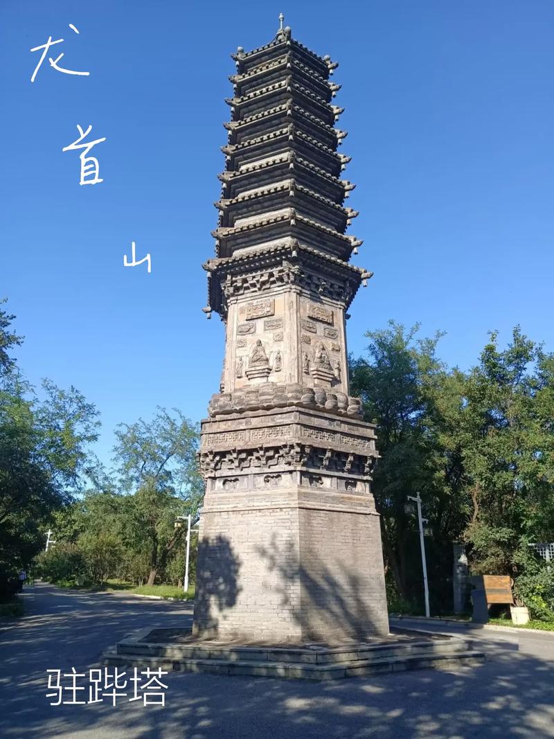 女人免费十八a的相关介绍