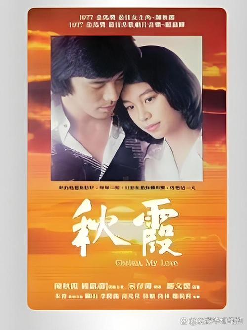 新泰数字电影院的相关介绍