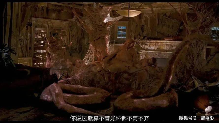 4080新视觉影院手机的相关介绍