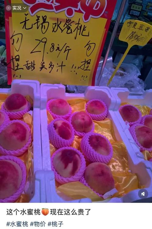 吉吉影音成 人影院6655的相关介绍