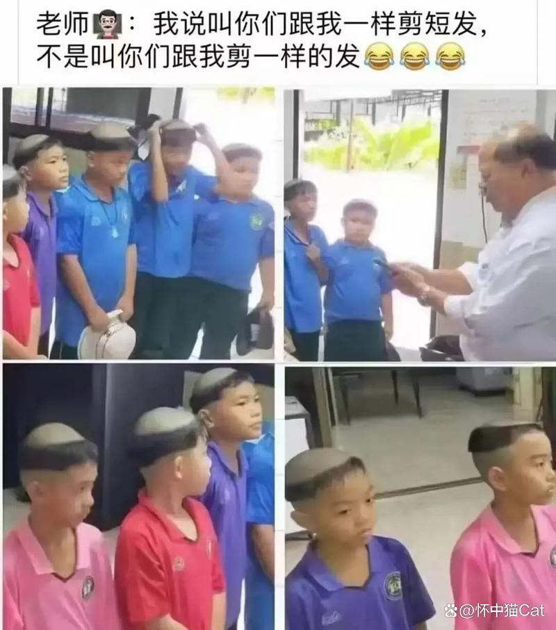 yy6080新视觉影院的相关介绍