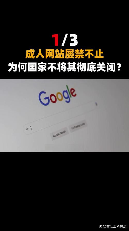 亚洲精品www久久久久久婷婷的相关介绍