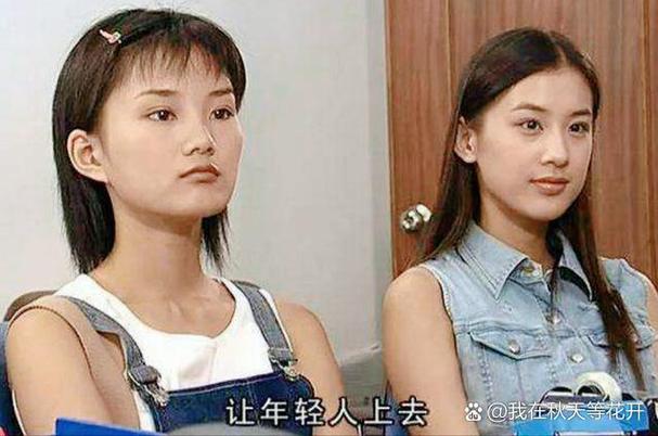 丁香影院的相关介绍