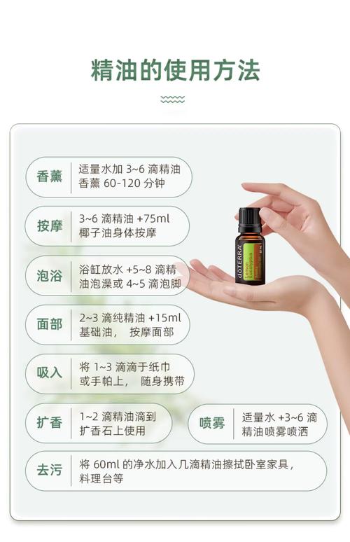 红豆影院的相关介绍