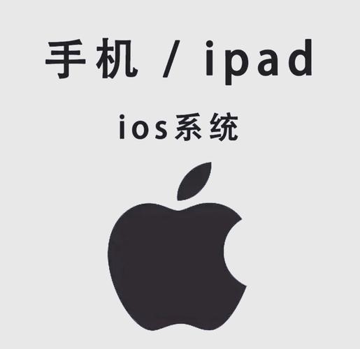 深夜影院av的相关介绍