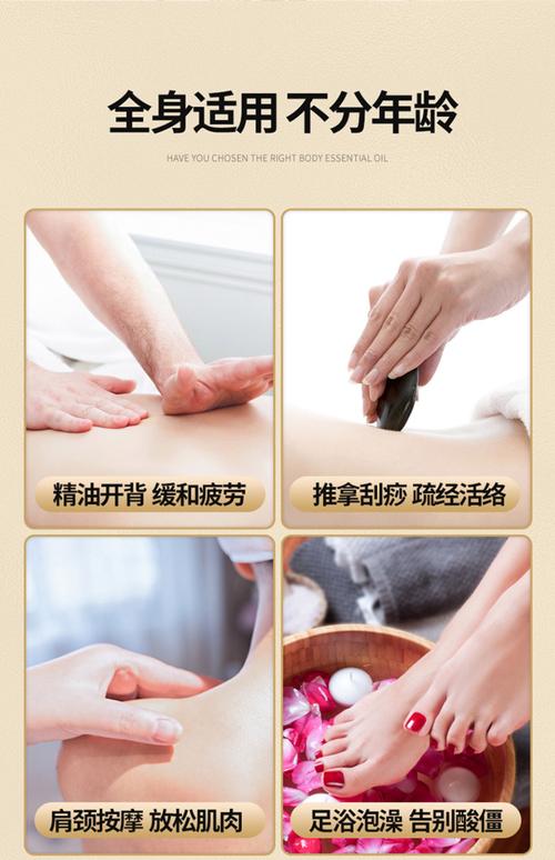 草蜢影院在线观看视频的相关介绍