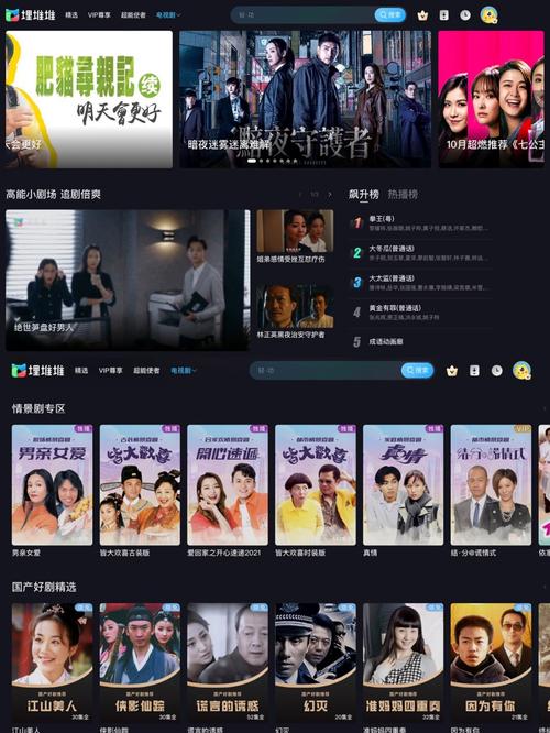 精品久久久1的相关介绍