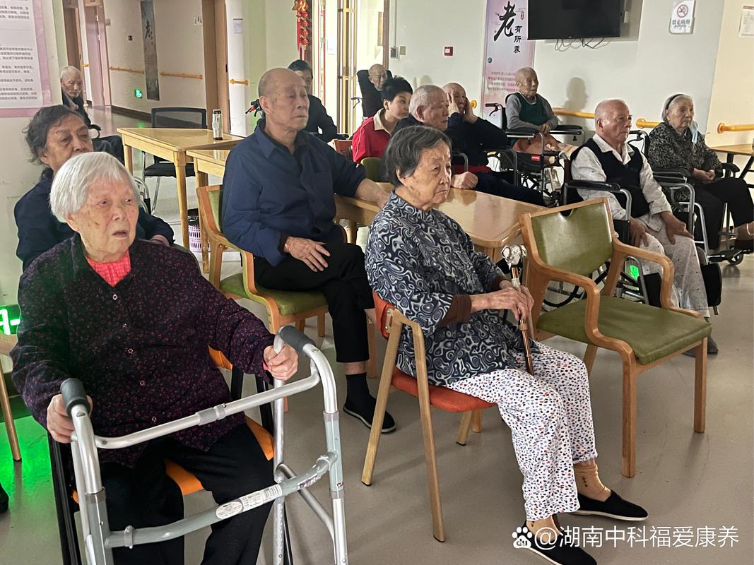 麻豆91传媒在线的相关介绍