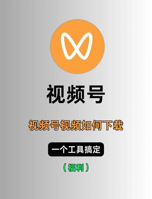 罗马影院官网的相关介绍