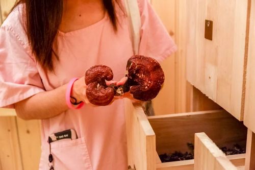 性感美女操白浆欧美的相关介绍