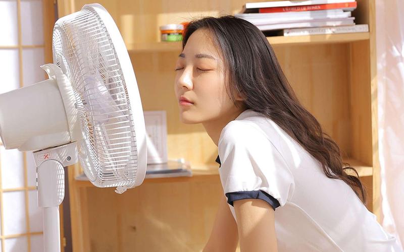 毒蛇影院的相关介绍