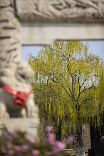 放放影院的相关介绍