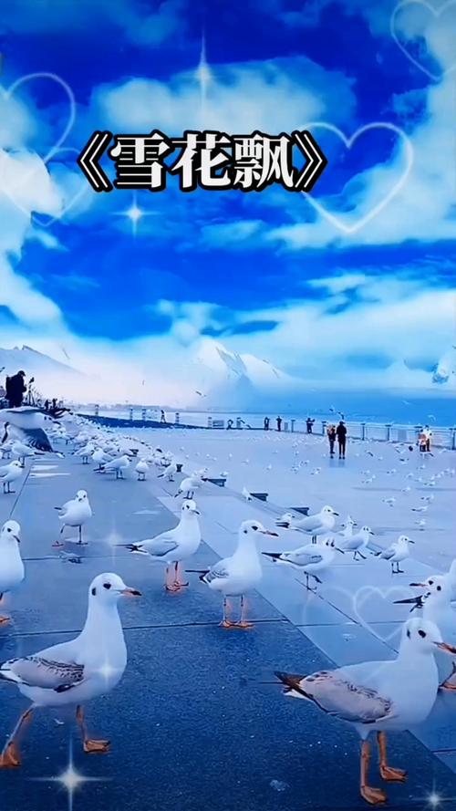 欧美精品成人在线观看的相关介绍
