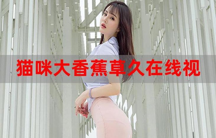 44800新视觉影院青苹果的相关介绍