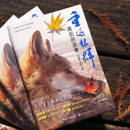 时代影院三级的相关介绍