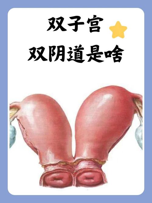 欧美成人综合色在线噜噜的相关介绍