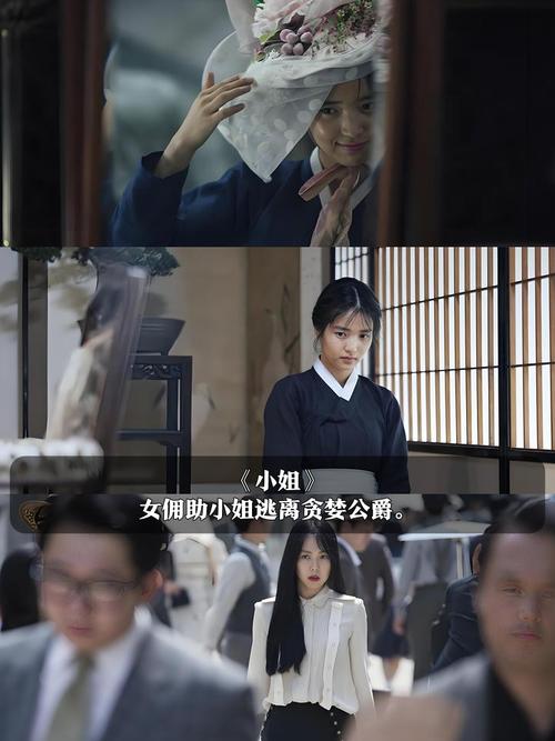人妻张燕全小说的相关介绍