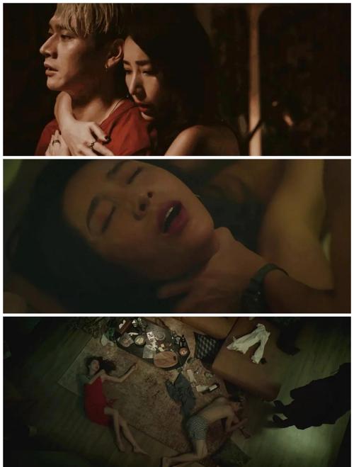 琪琪影院在线看2017 - 最新热播电影电视剧免费在线观看，高清资源无广告