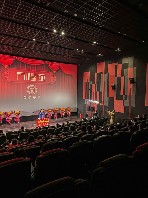 琪琪影院网2018的相关介绍