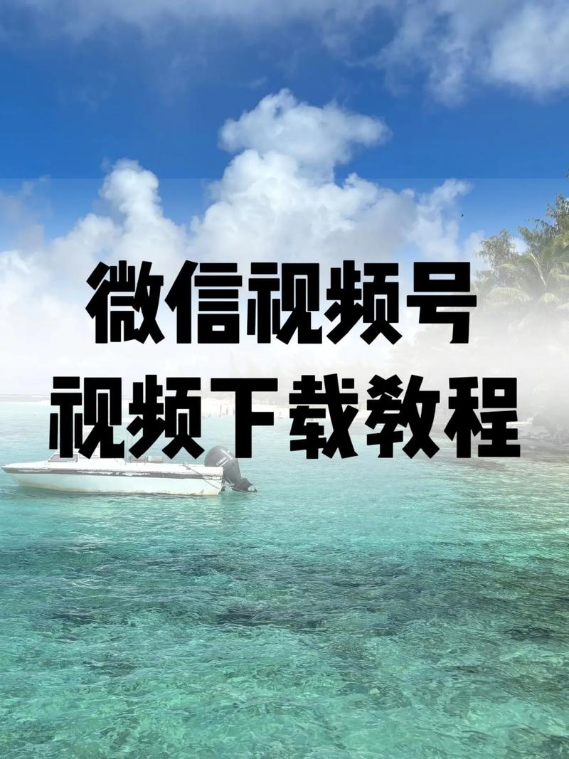 黑丝av成人在线男女网站的相关介绍