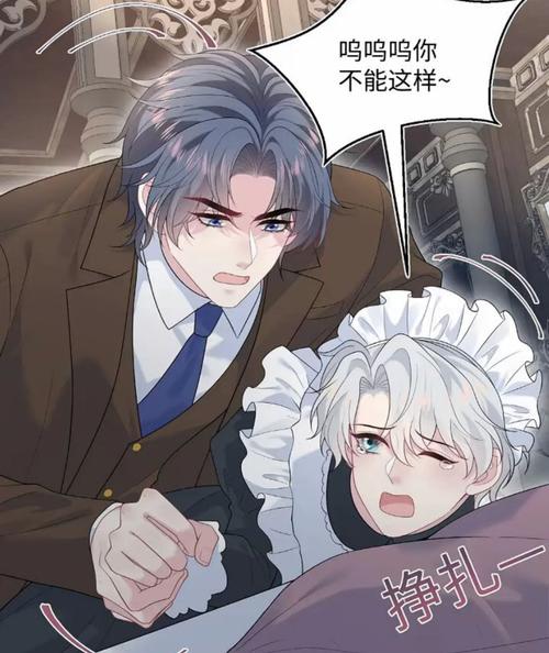 西西影院的相关介绍
