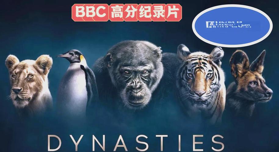 麻豆91传媒视频的相关介绍