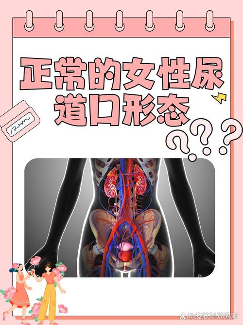 大乳女上司的相关介绍