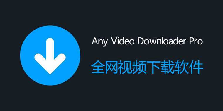 成年人该看的毛片的相关介绍