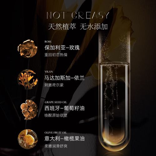 魅力影院的相关介绍