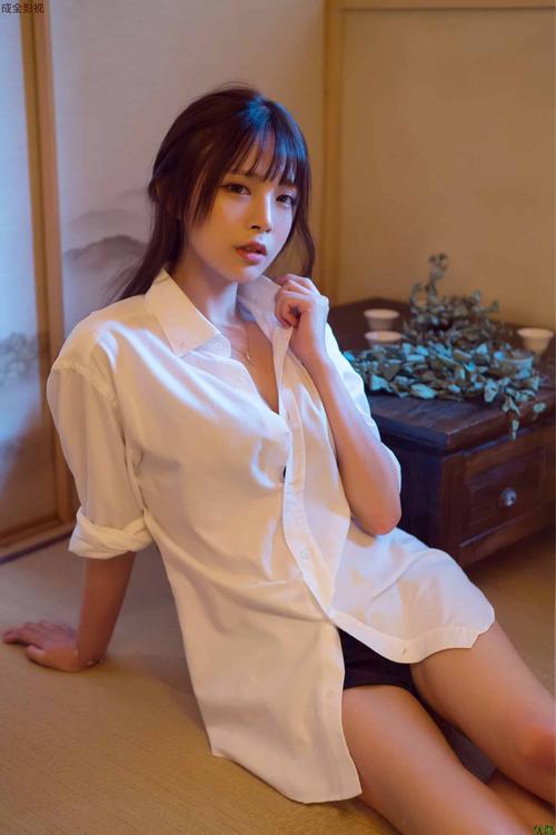 欧美成人中文在线的相关介绍