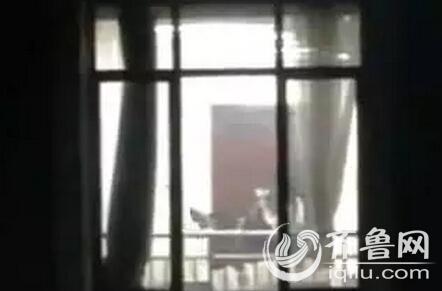 和美女老师啪啪啪的相关介绍
