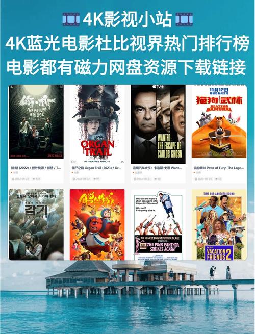 少妇熟女 图区的相关介绍